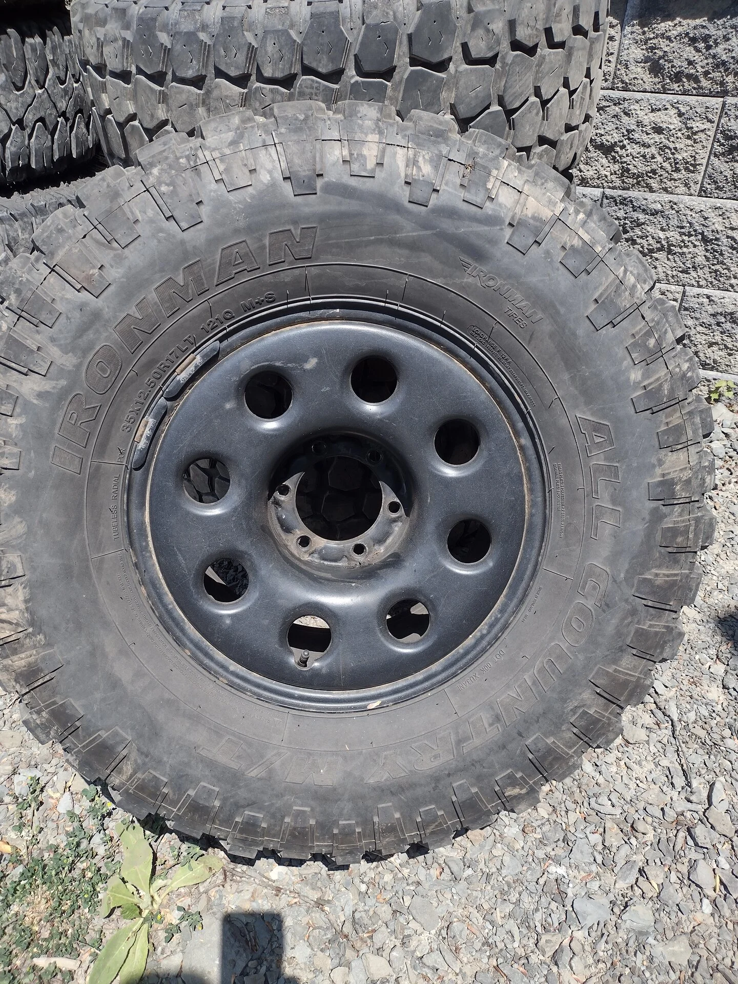 Wheels.webp