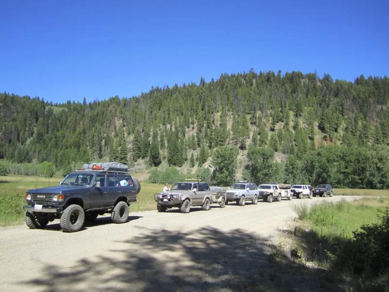 Whipsaw 2011 007.webp