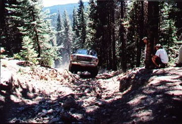 whipsaw4.webp