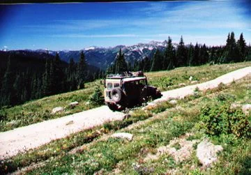 Whipsaw5.webp