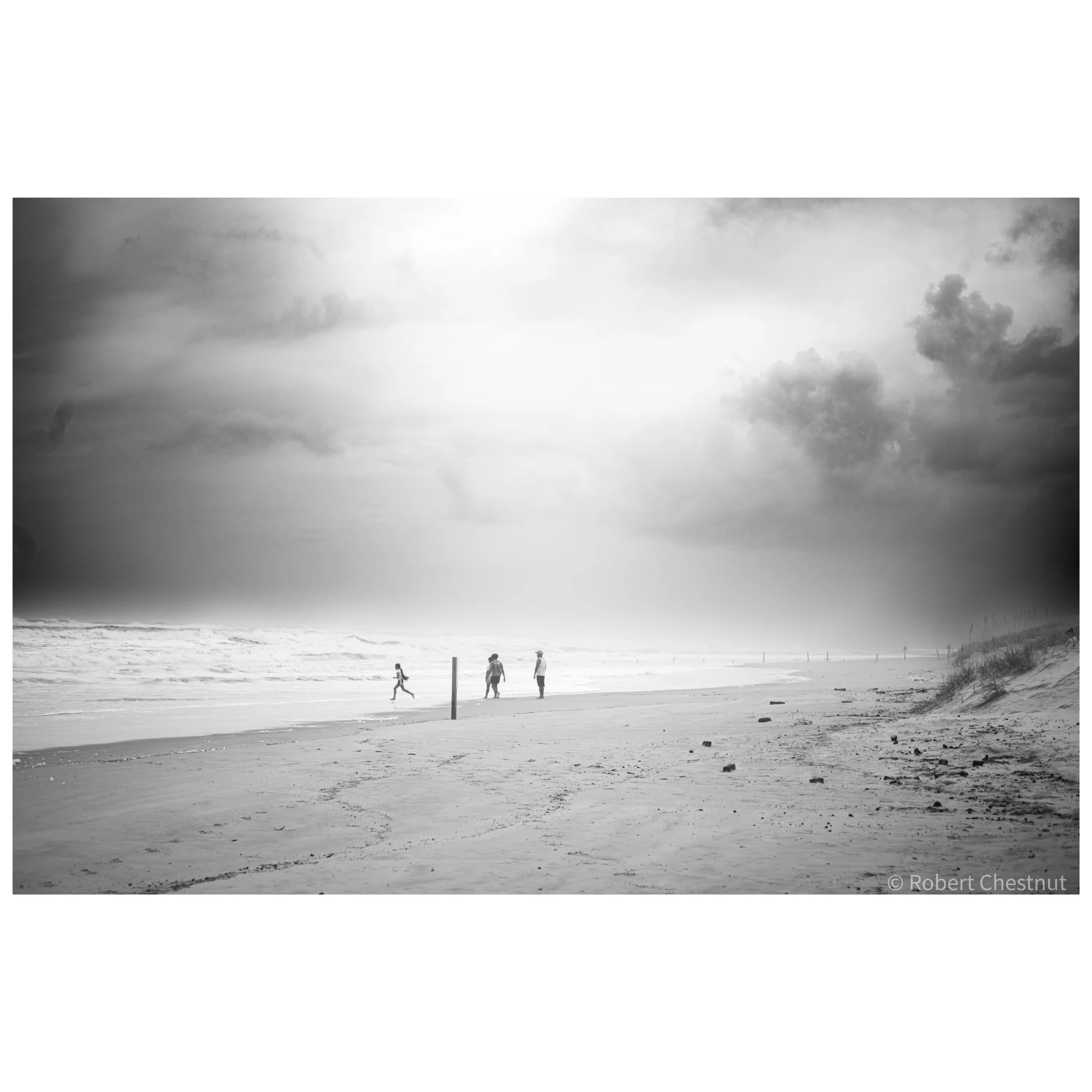 Whitagram-Image 41.webp
