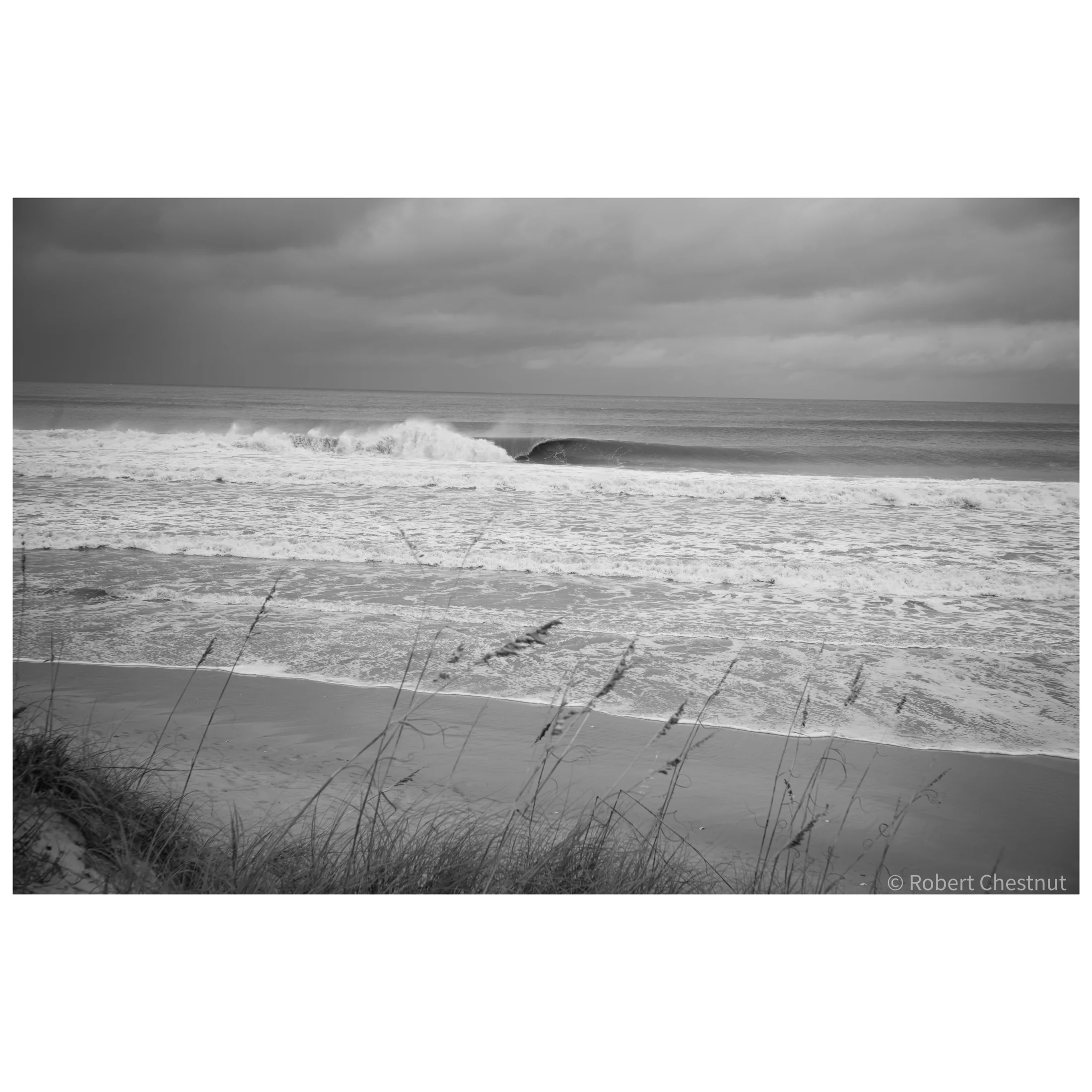 Whitagram-Image 42.webp