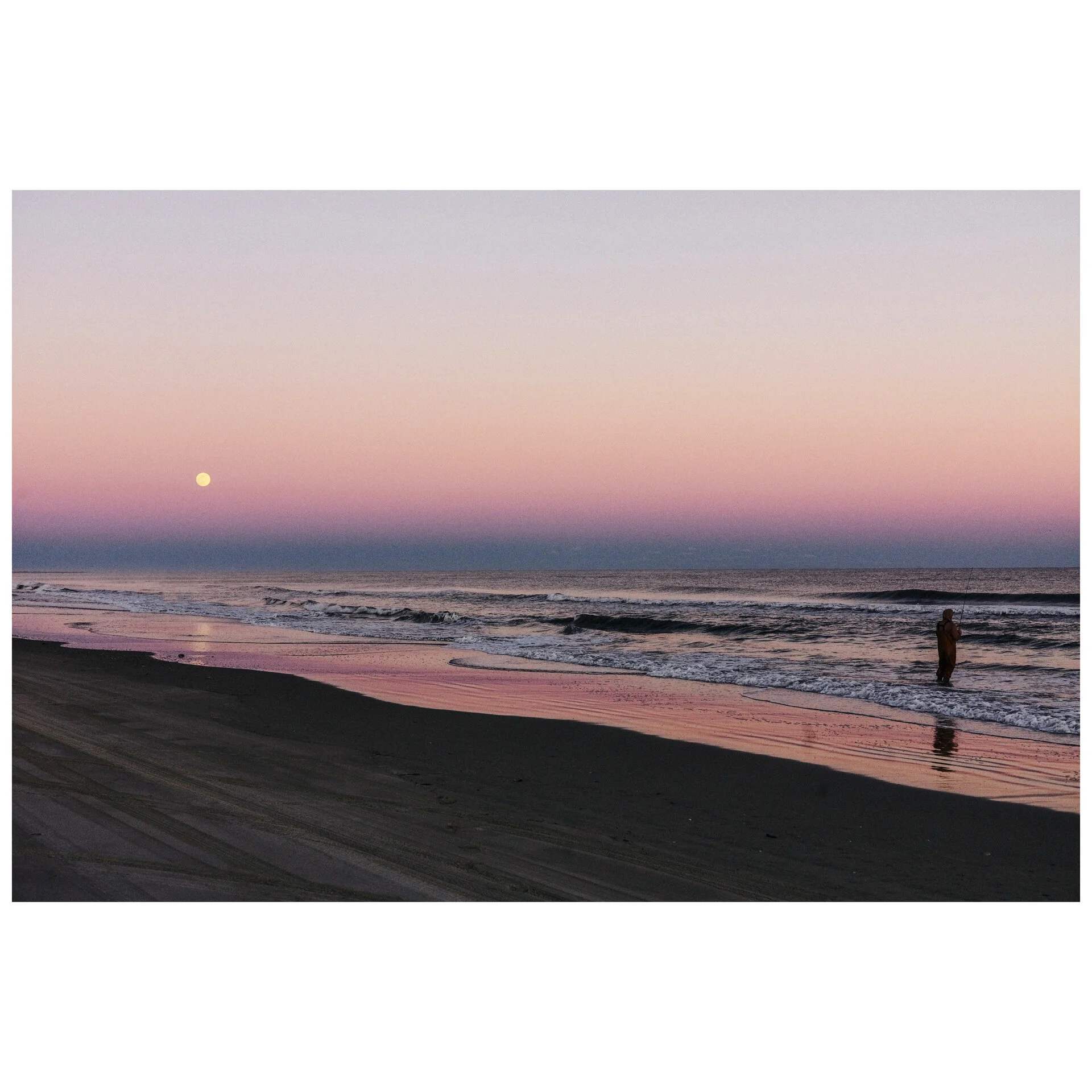 Whitagram-Image 7.webp