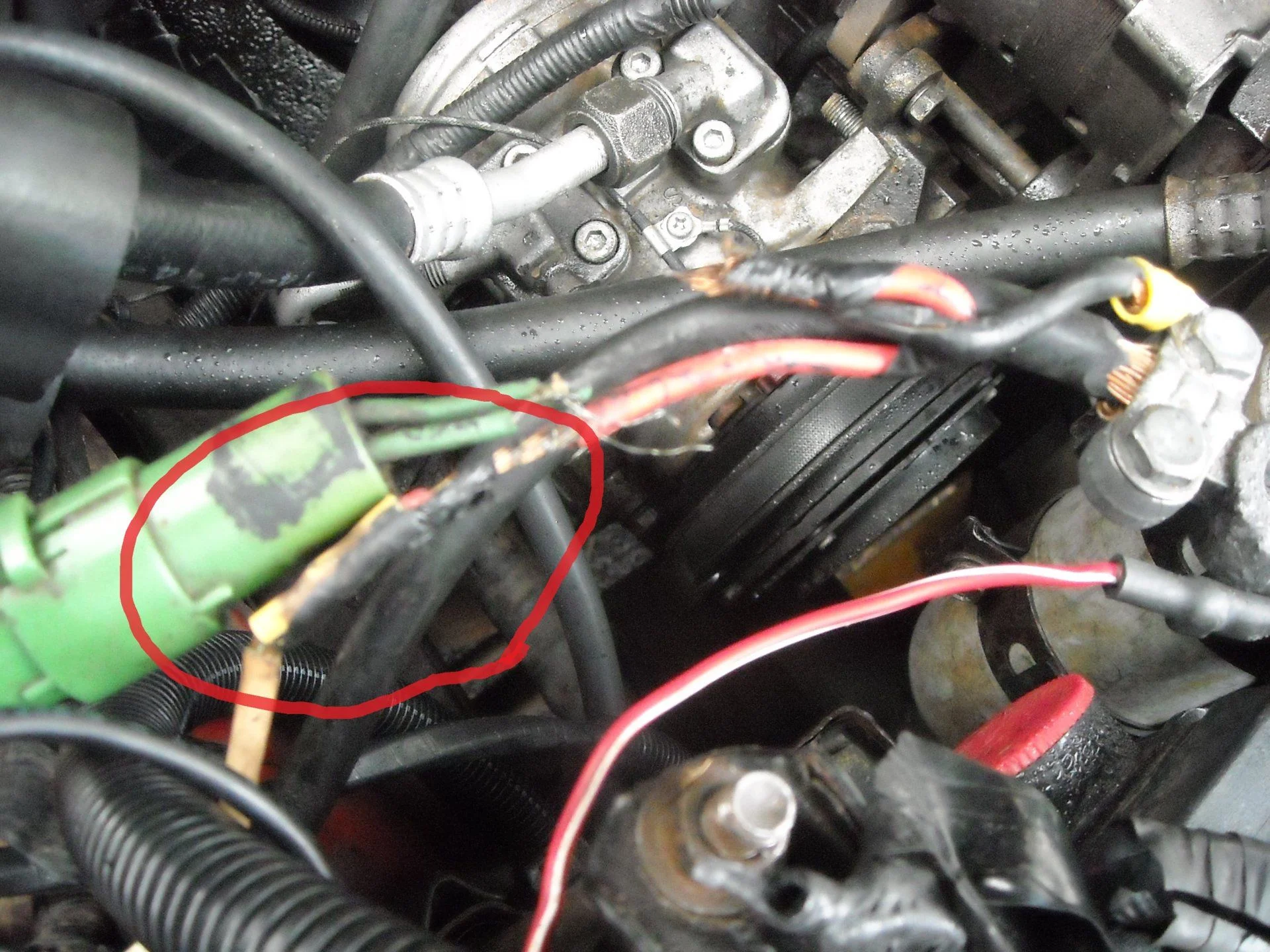 white alternatorw wire 2.webp