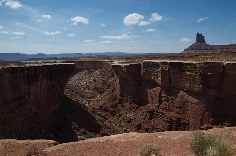 White Rim.webp