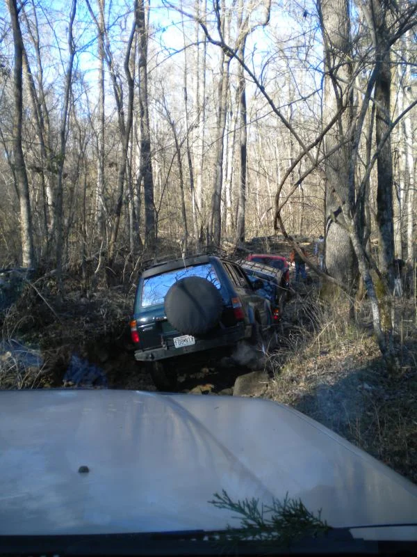 Whiterock Feb 2012 044.webp