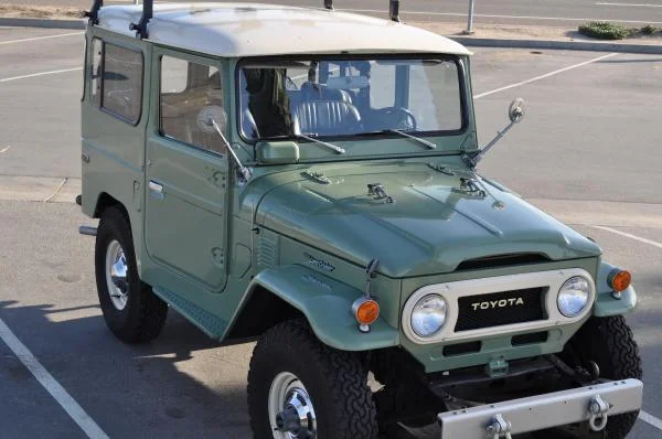willowcruiser.webp