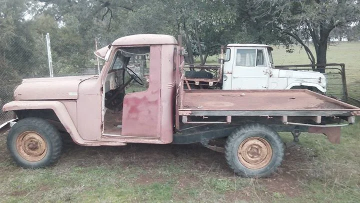 willys.webp
