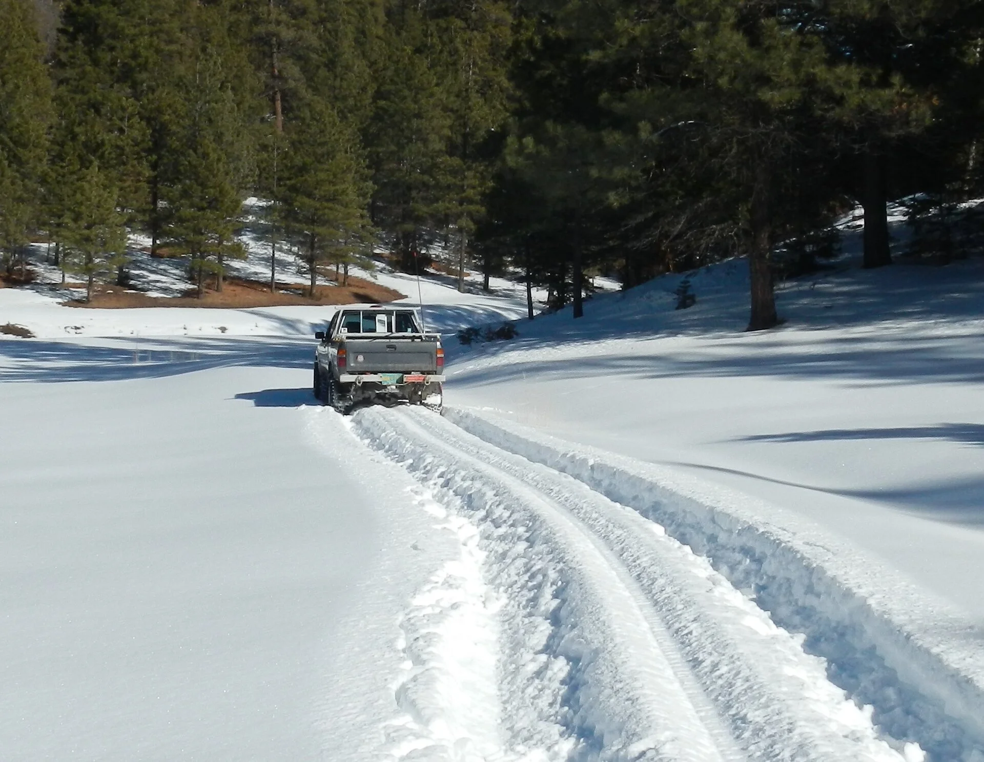 wilmagallinajan15_2.jpg (2).webp