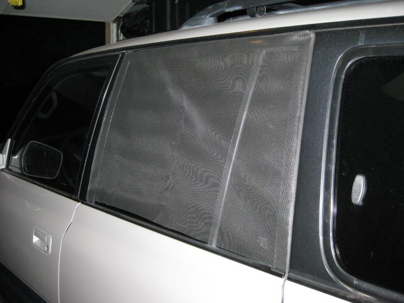 window screen (1).jpg