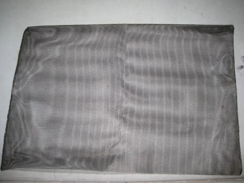 window screen (2).webp