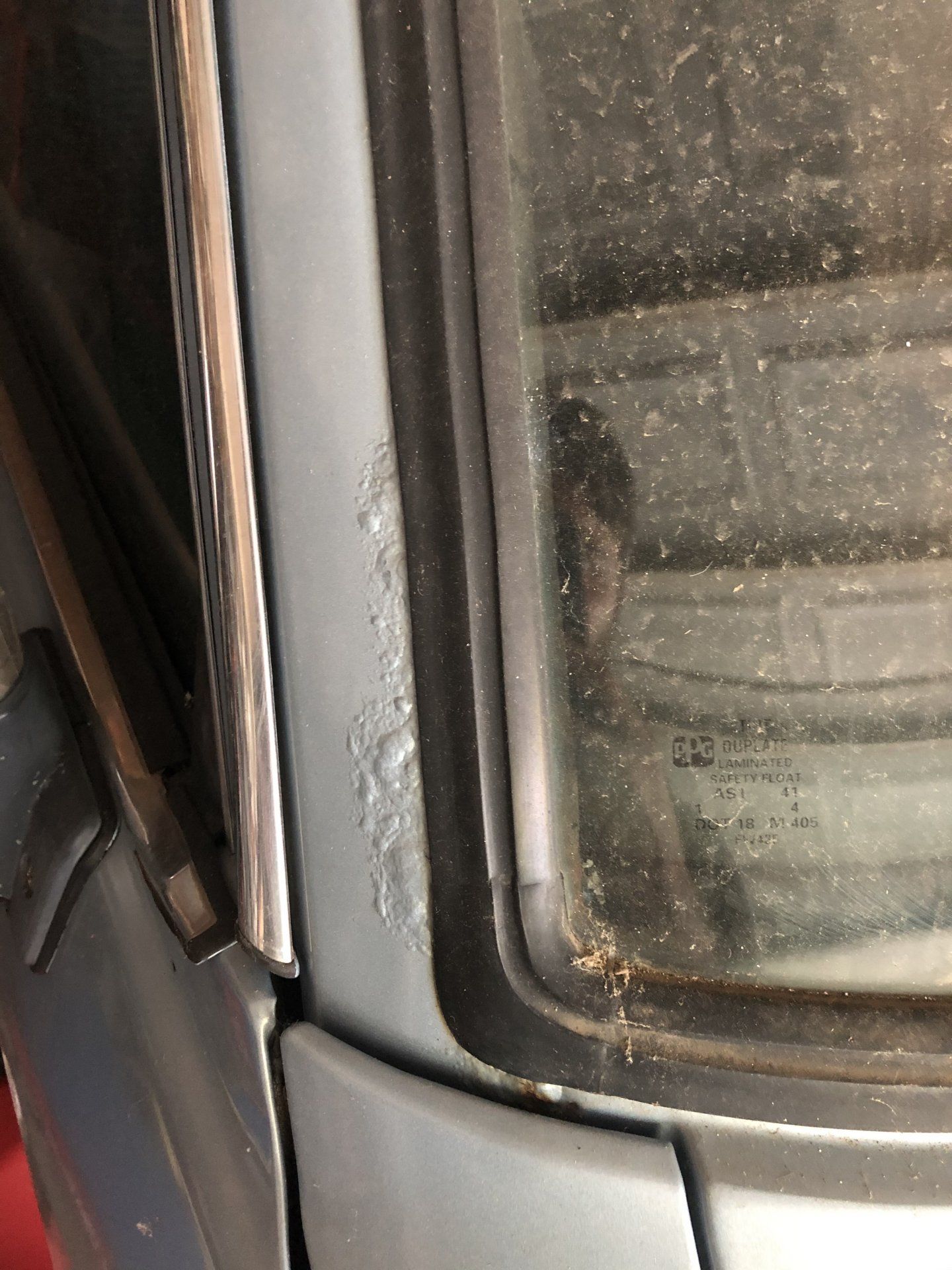 windshield.jpeg