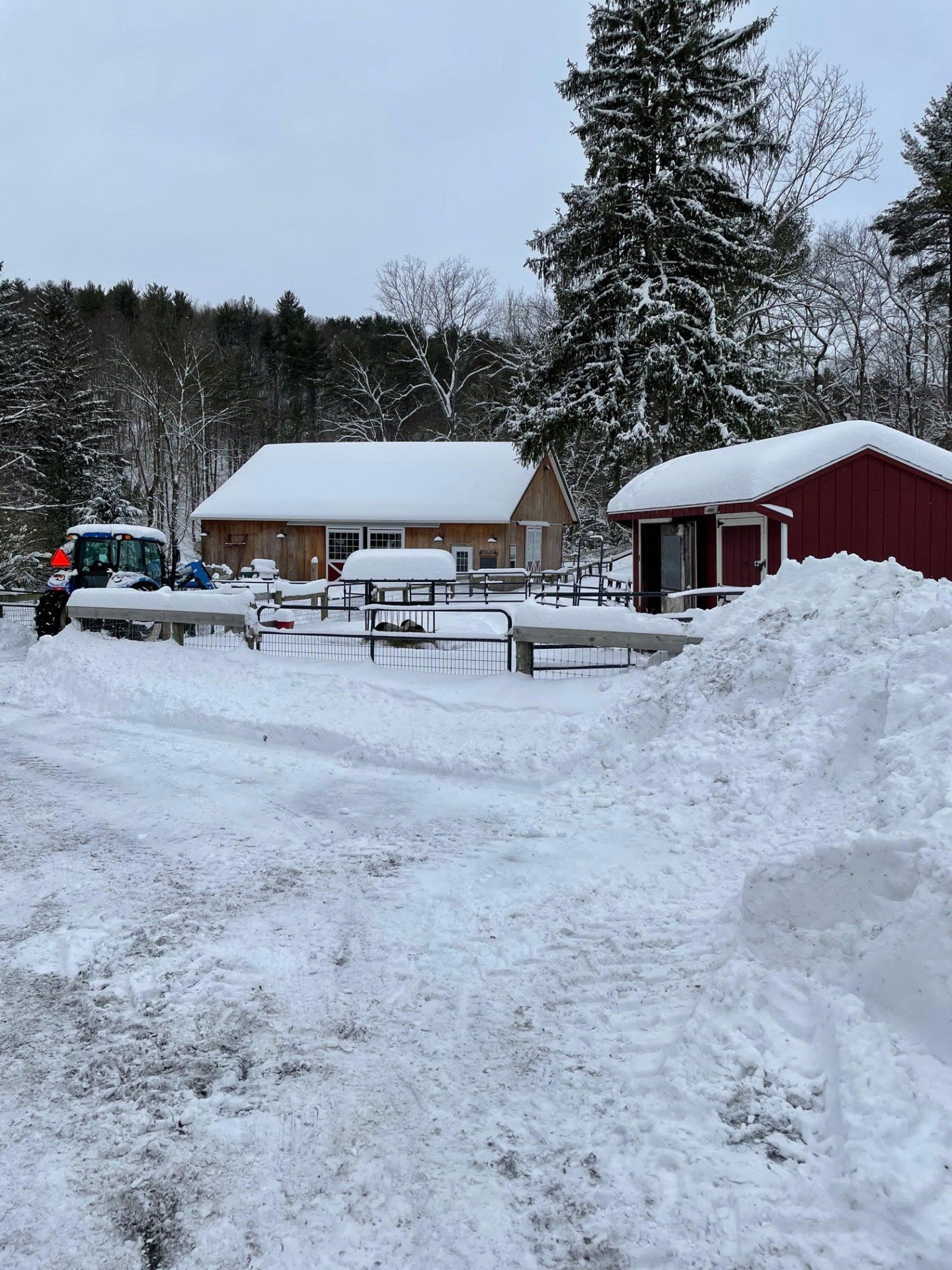 winter farm 2021.jpg