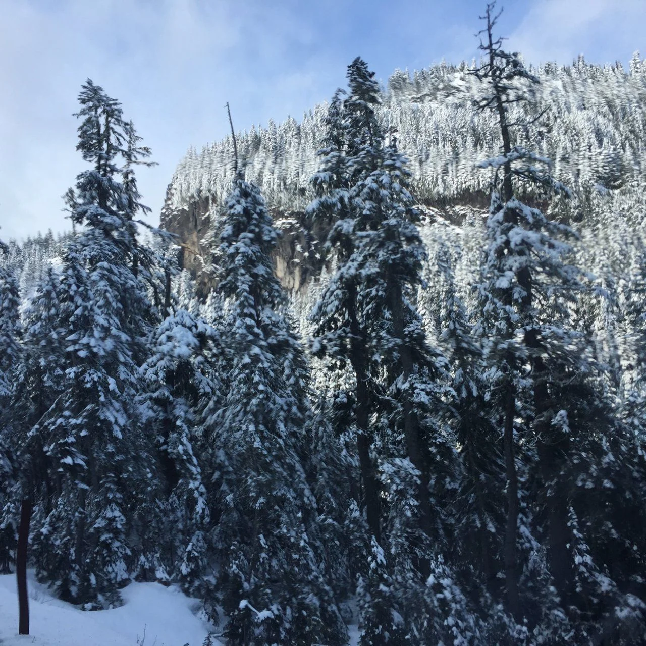 Winter in year without one.webp