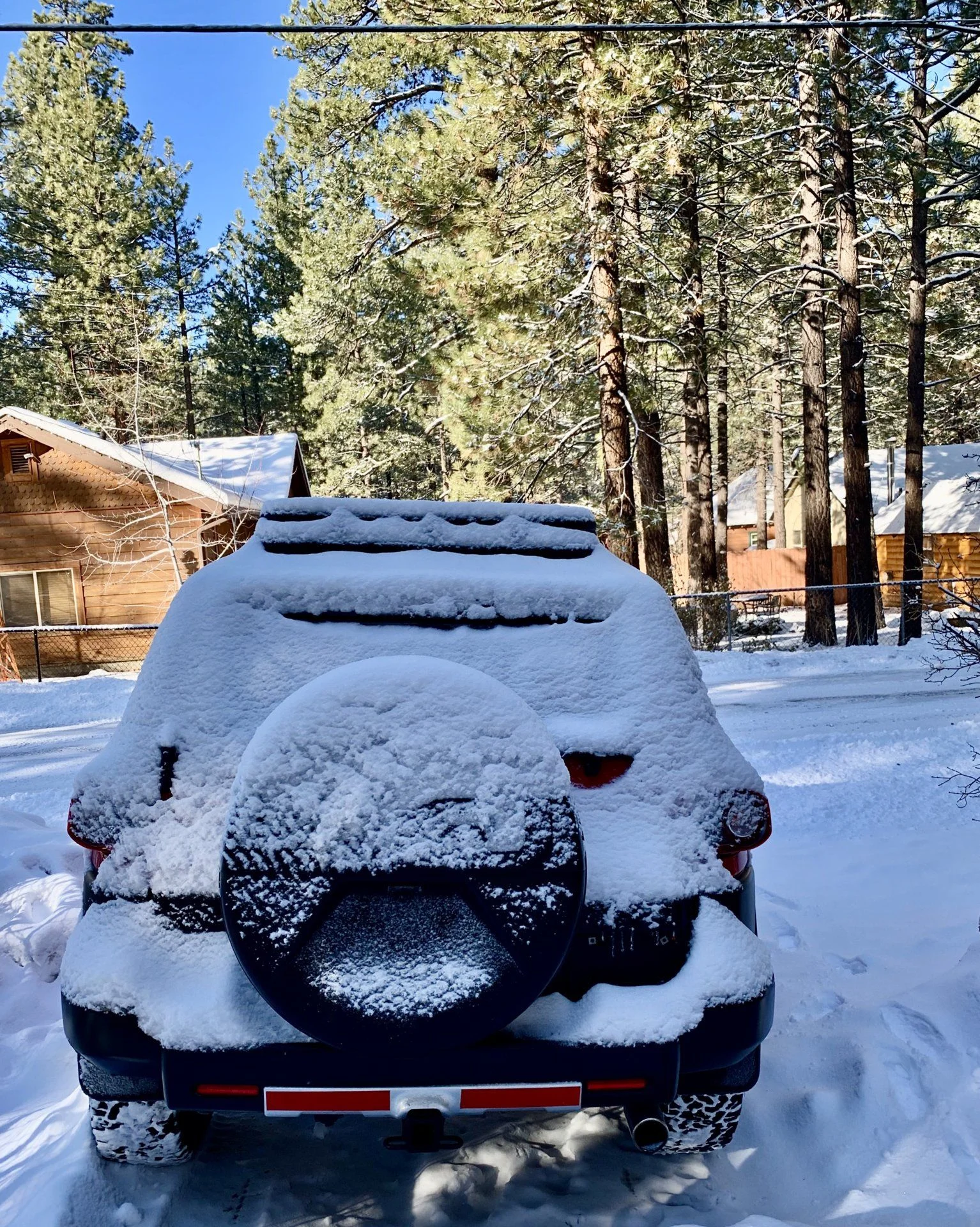 winter1.webp