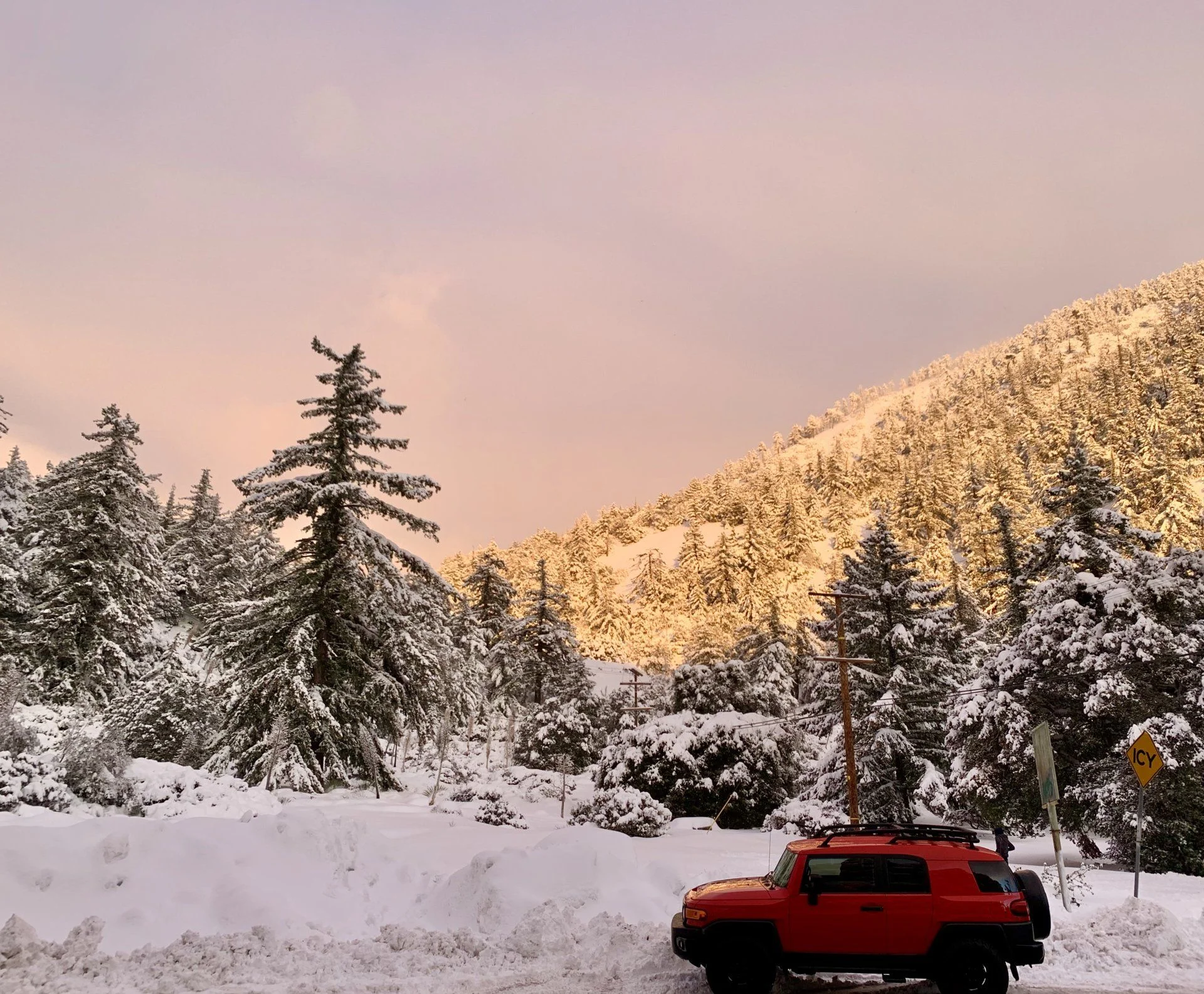 winter2.webp