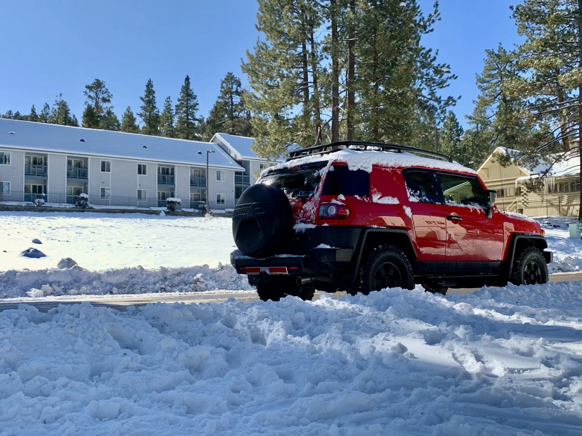 winter3.webp