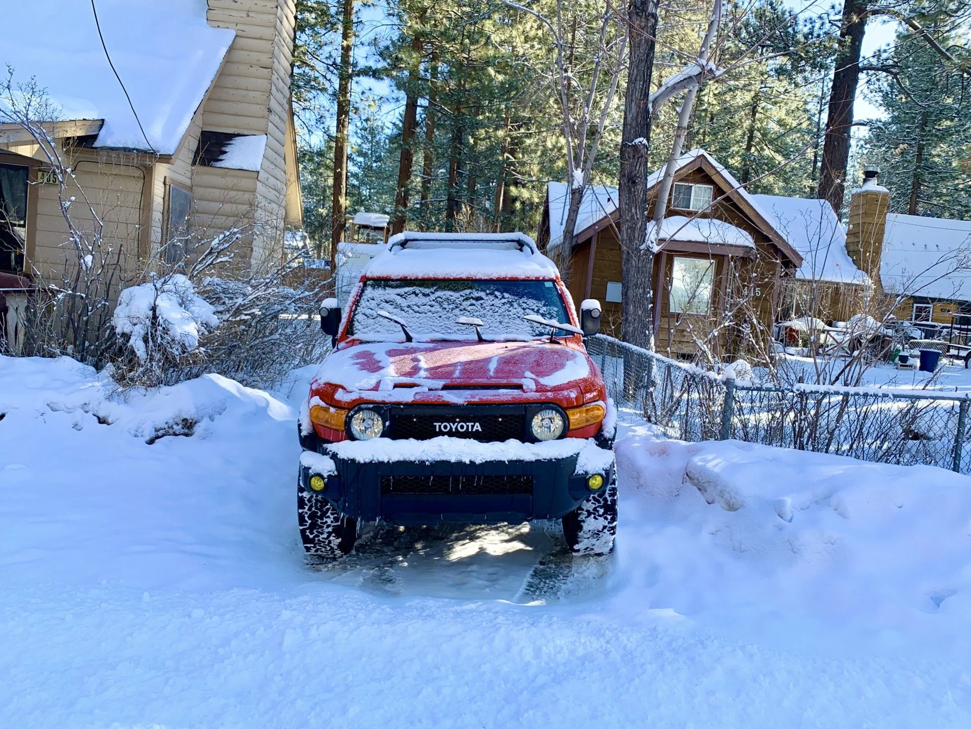 winter4.webp