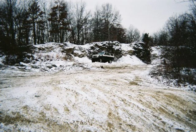 winterpig.webp