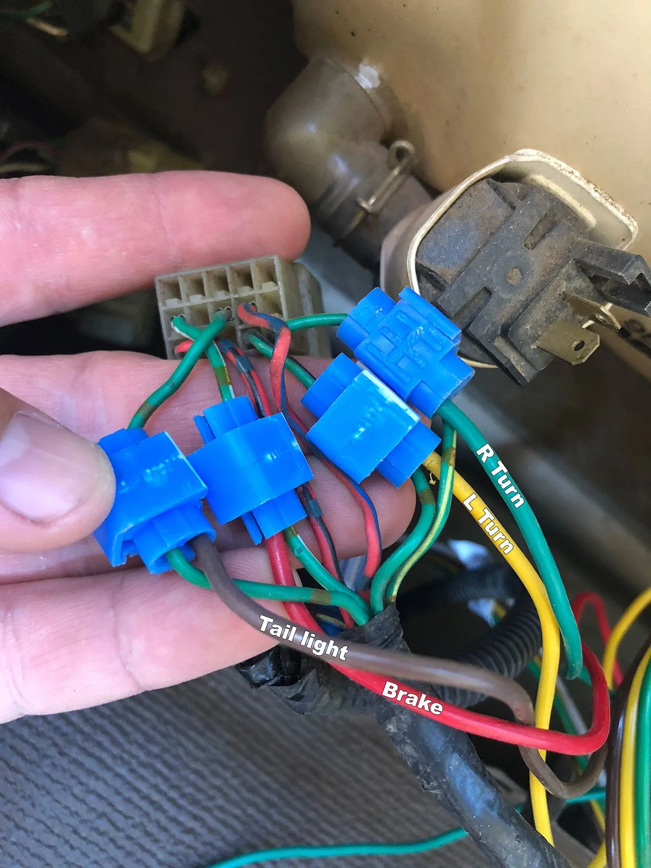 wires.webp