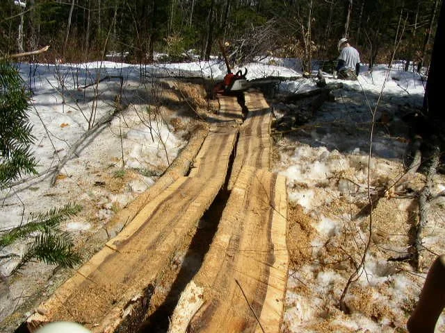 wood 1.webp