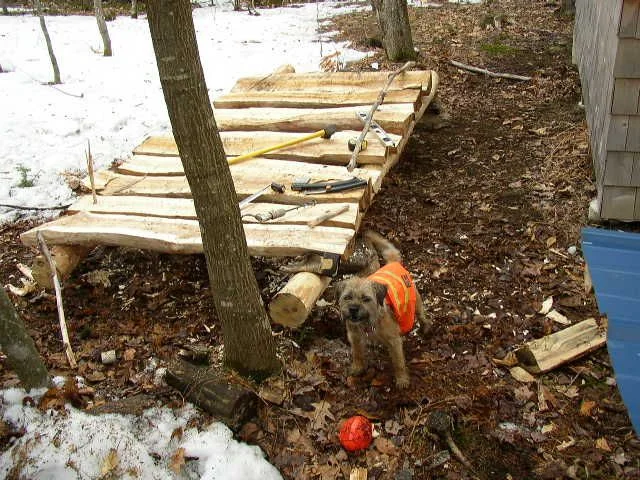 wood 6.webp