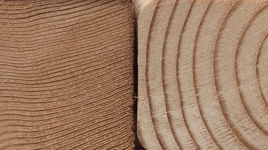 wood.webp