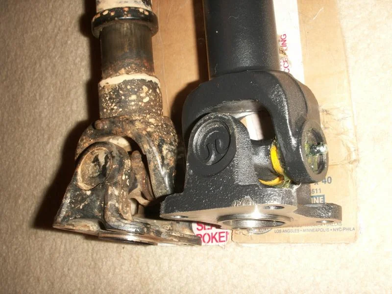 woody 003.webp