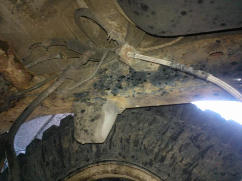 WP_000063.webp