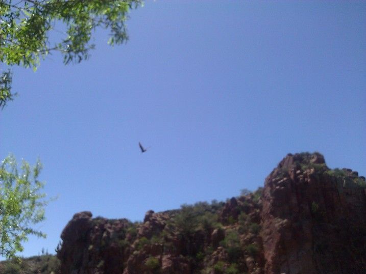 WP_000783.jpg