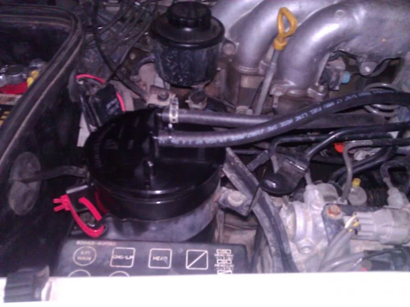 WP_000893.webp