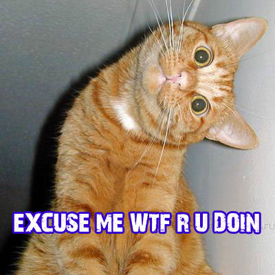 WTF R U Doin.jpg