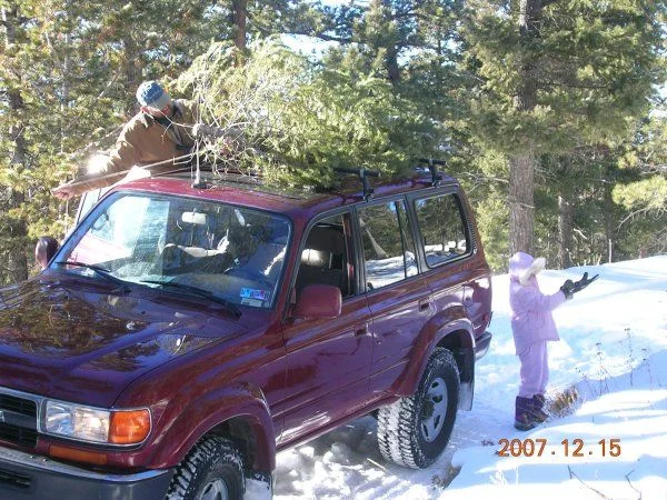 xmas_tree_2007_2_scl.webp