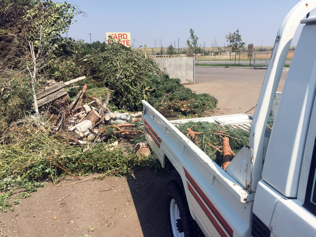 yard waste.webp