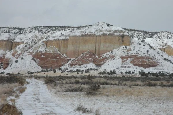 Yellow-Bluff.webp
