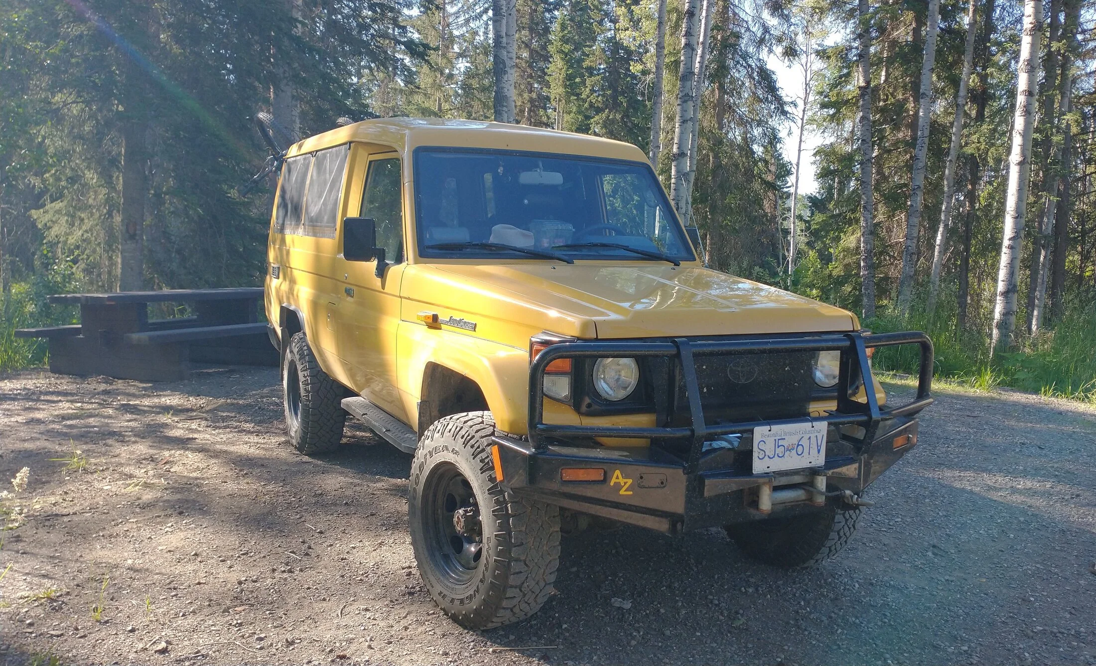 yellow troopy 2.webp