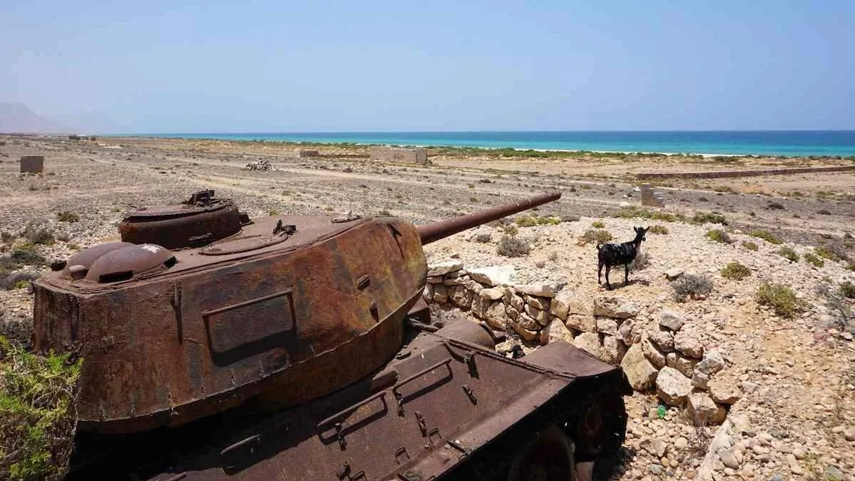 yemen.jpg