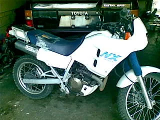 yepper!.webp