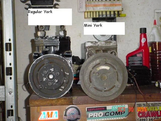 York & Mini York.JPG
