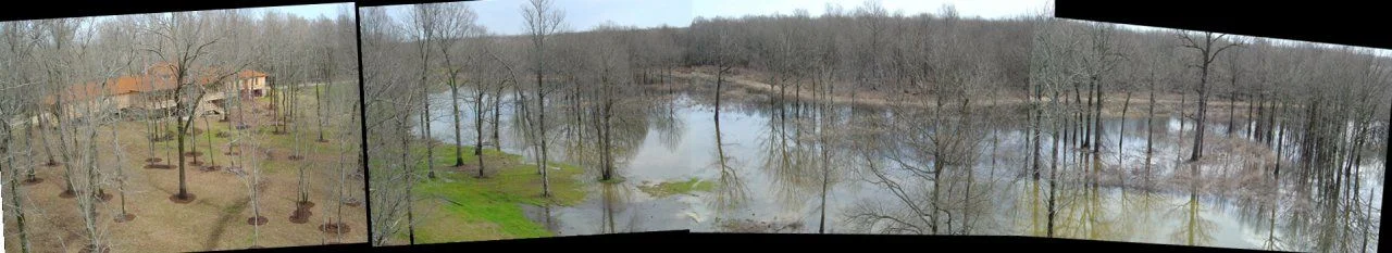 YorkWoods_pano.webp