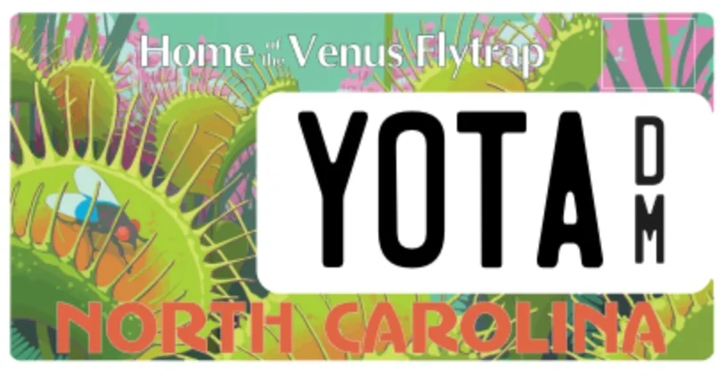 YOTA.webp