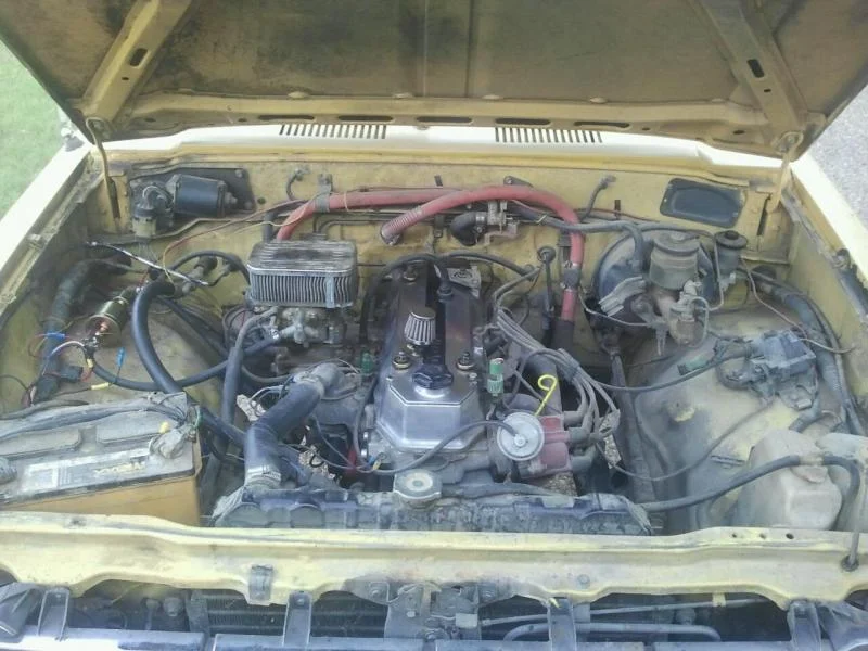 yota5.webp
