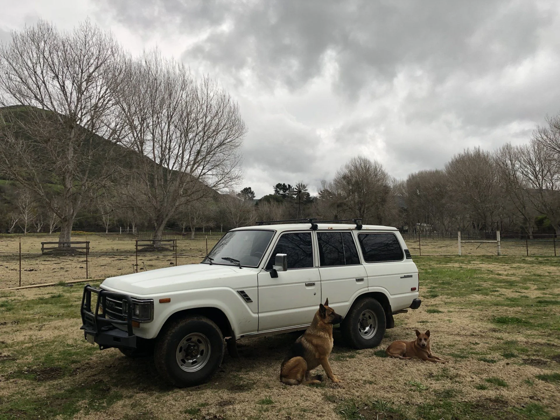1976731