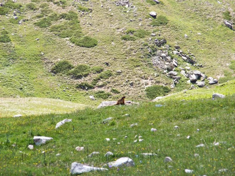 zain 2 127 (Copy).webp