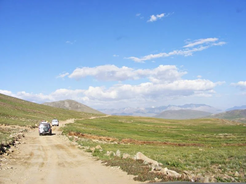 zain 2 183 (Copy).webp