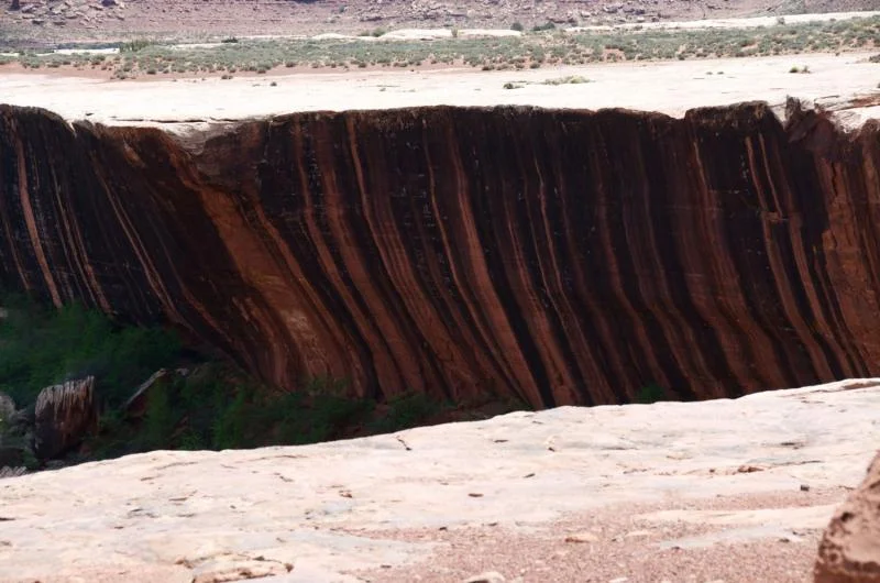Zebra Rock.webp
