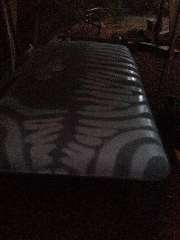 zebra1.webp