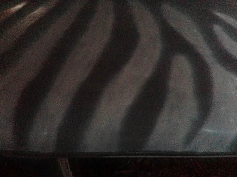zebra2.webp