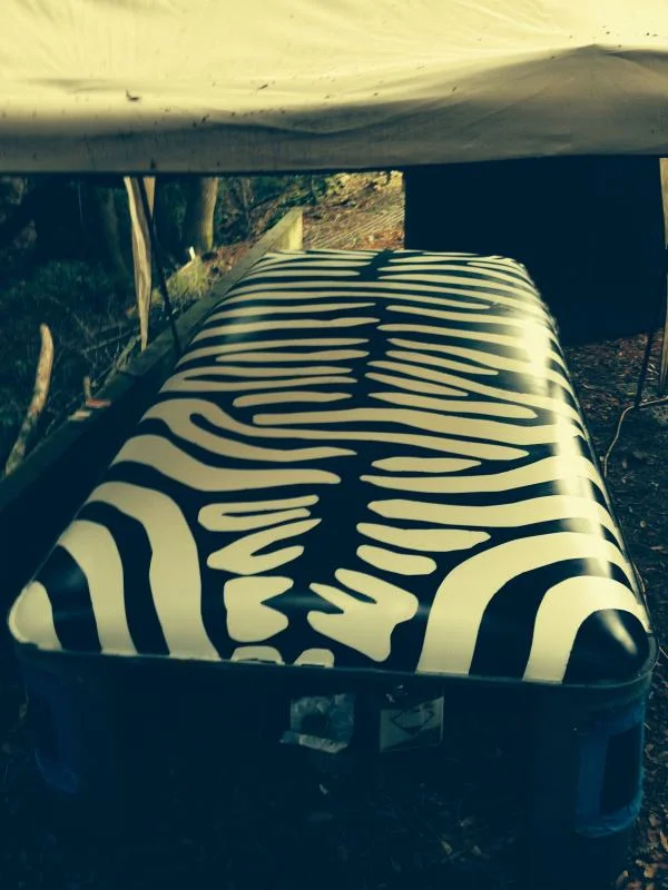 zebra9.webp
