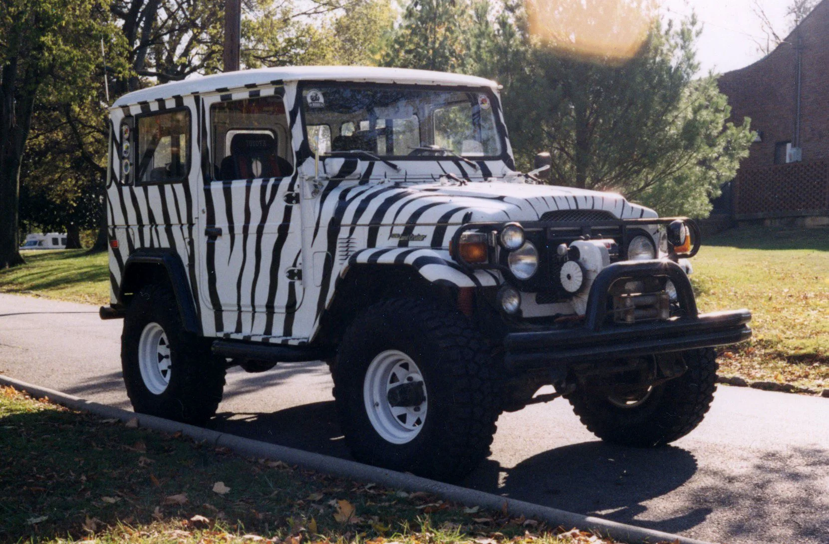 Zebranator II clean.webp